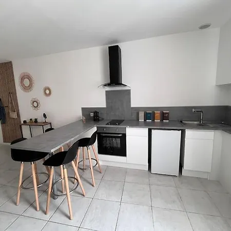 Appartamento Grand 29 M2 Refait A Neuf En Centre-ville